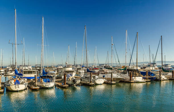 istock Marina at San Francisco bay 889582424
