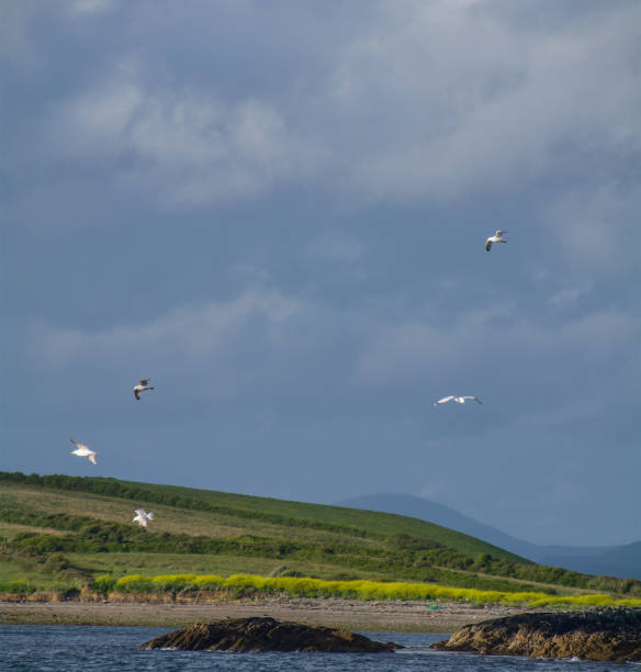 istock Bantry Bay,Wild Atlantic Way, Ireland 889598234