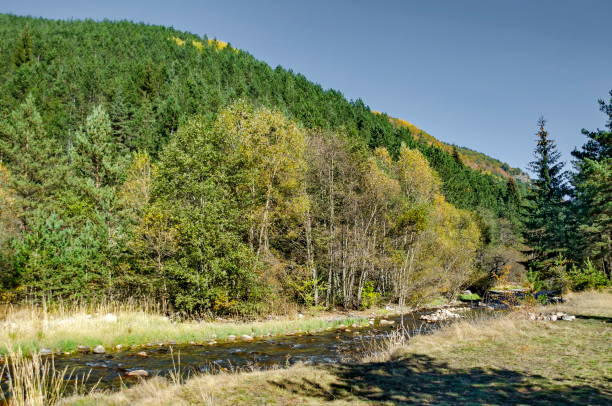 istock Beautiful view of autumnal forest and river Iskar 889605770