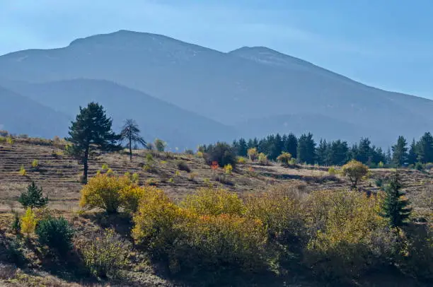 Photo of Mountain landscape with differently trees in venerable autumnal forest and glade