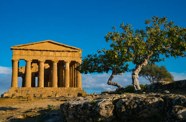 istock Valle di Templi, Valley of Temples 889615334