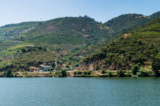 istock View of Douro Valley, Portugal. 889618814