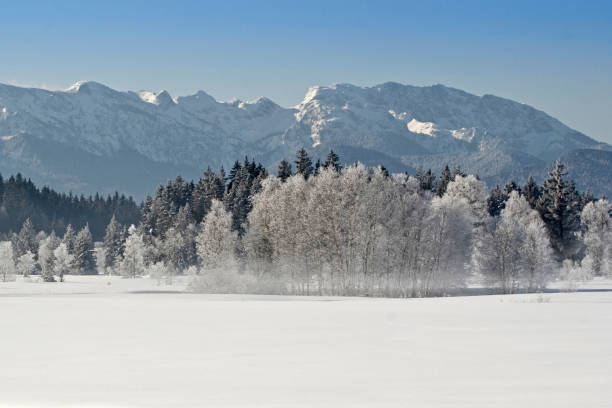 istock Winter morning in Ellbach 889623556