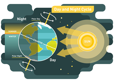 24 hours day and night cycle diagram, graphic vector illustration with sun and planet earth