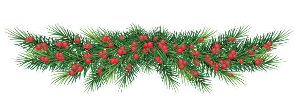 istock long garland of Christmas tree branches and red berries. Vector illustration. Eps 10. Realistic fir-tree border, frame isolated on white. Great for christmas flyers, party posters. 889637802