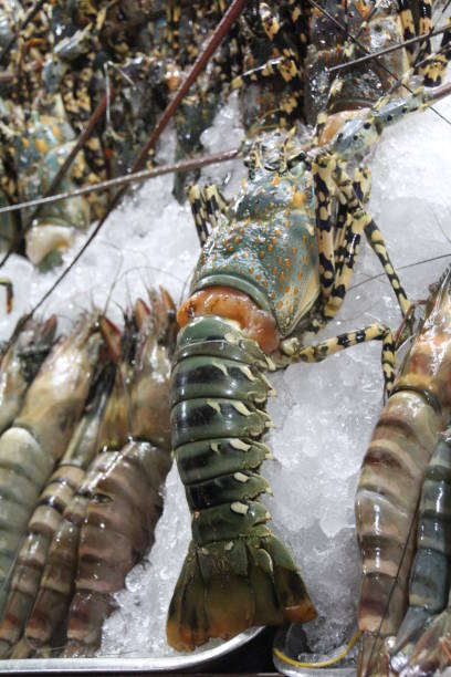 istock Lobster for sale 889642322