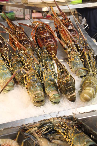 istock Lobster for sale 889651010
