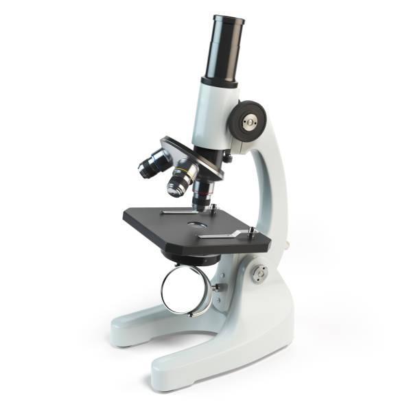 顕微鏡は、白い背景で隔離。 - medical research science education white ストックフォトと画像