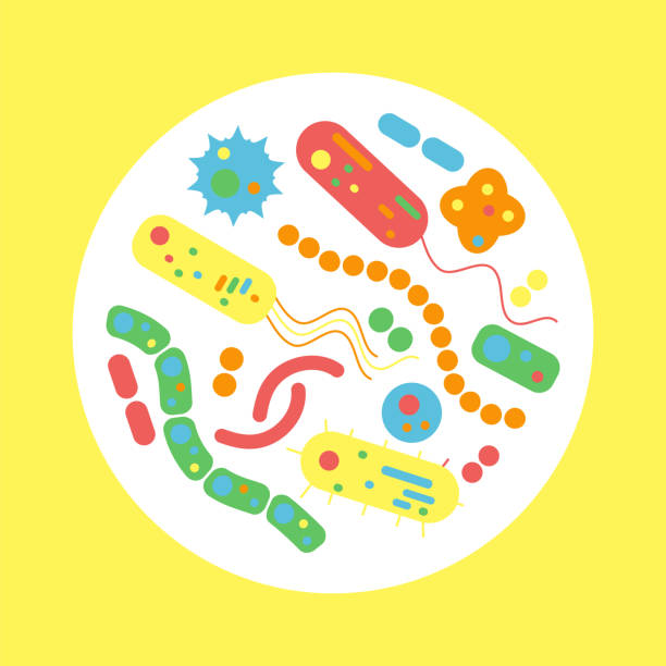ilustrações, clipart, desenhos animados e ícones de microorganismo bacteriano em um círculo - staphylococcus aureus resistente à meticilina