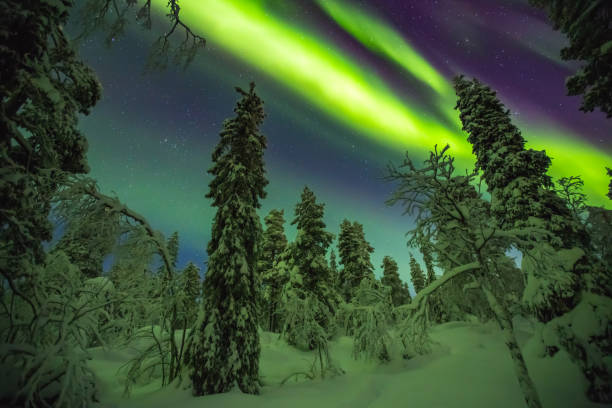 istock Northern lights in Finish Lapland 889700398