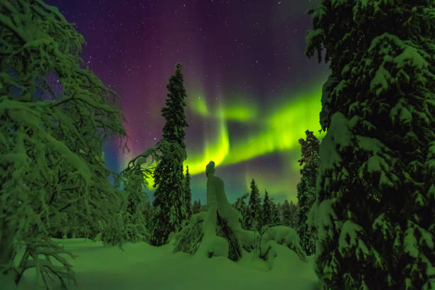 istock Northern lights in Finish Lapland 889700488