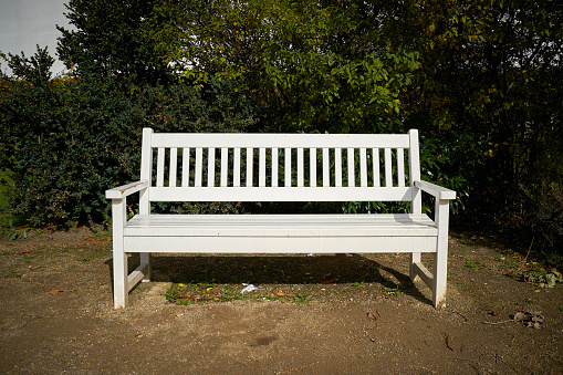 white park bench in a public park in Dresden