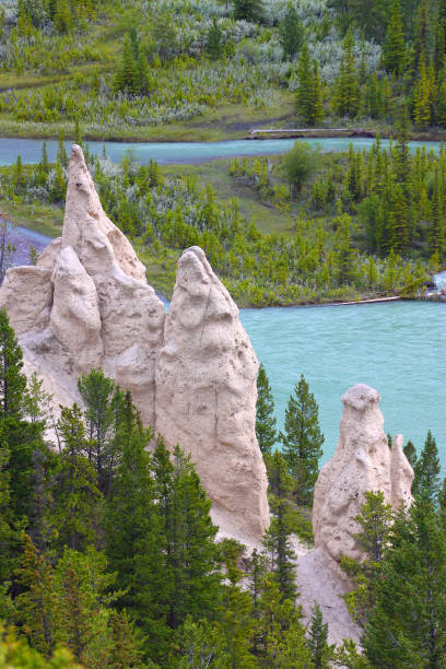 hoodoos i bow river w parku narodowym banff - steeple outdoors vertical alberta zdjęcia i obrazy z banku zdjęć