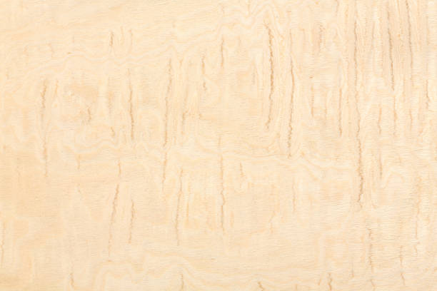 istock Burl Maple wood design texture. Natural background closeup 889706720