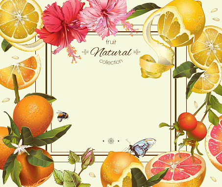 Vector vintage citrus frame with lemon, hibiscus and rose hip.Design for tea, juice, natural cosmetics, baking,candy and sweets with citrus filling,grocery,health care products. With place for text.
