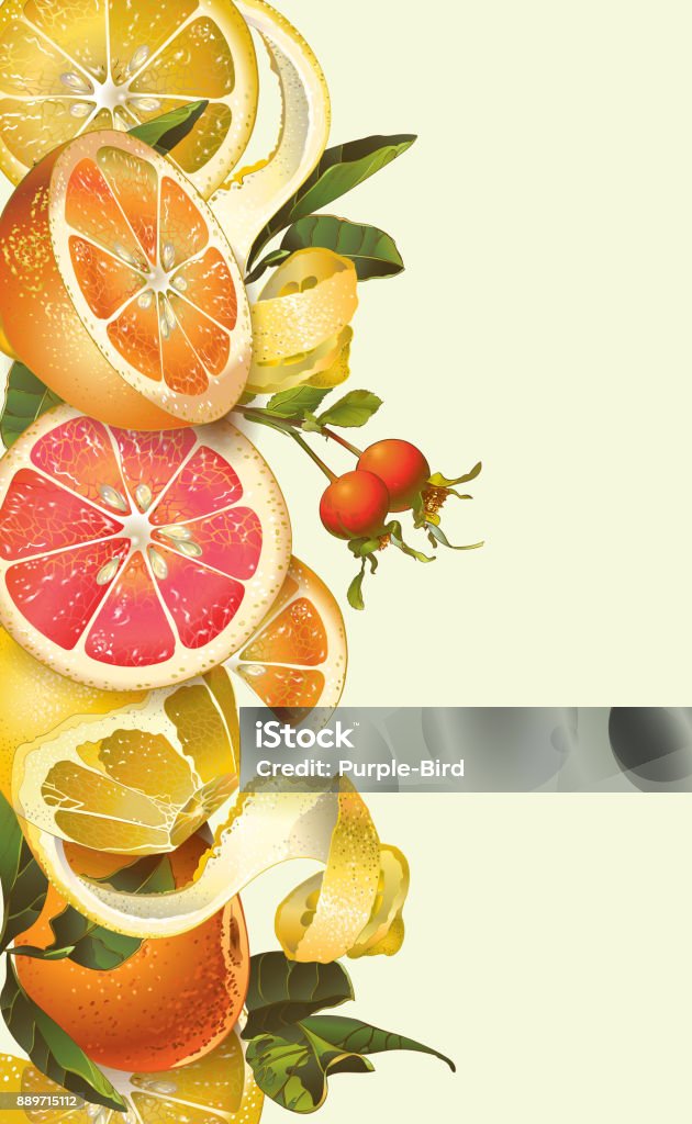 Vintage citrus banner Vector vintage citrus banner with lemon, hibiscus and rose hip. Design for tea, juice, natural cosmetics, baking, candy and sweets with citrus filling,health care products. With place for text. Fruit stock vector
