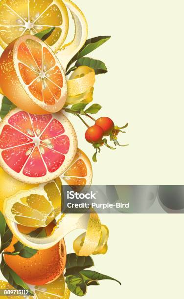 Vintage Citrus Banner Stock Illustration - Download Image Now - Fruit, Orange - Fruit, Agriculture