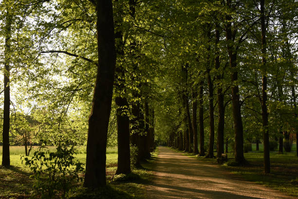 istock Villa Varda Park in Poirdenone 889715350