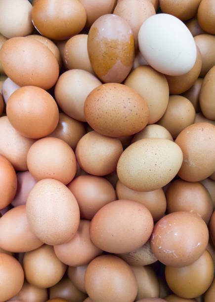 istock Fresh egg pile from the oganic farm. 889730992
