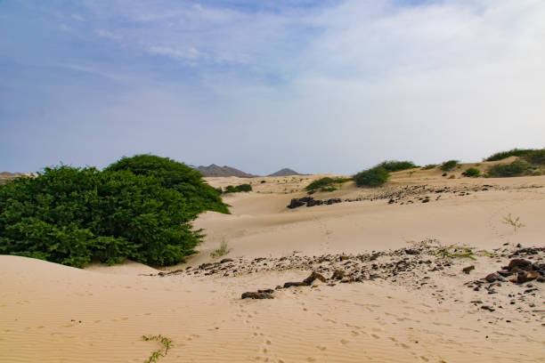 viana desert, boa vista, cape verde - sub saharan africa imagens e fotografias de stock