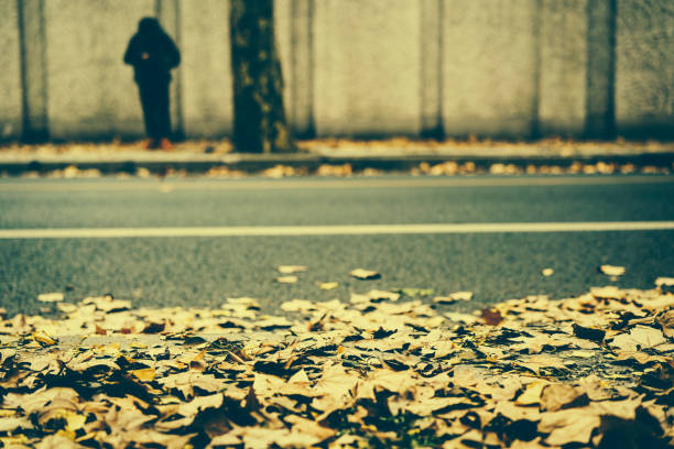 The asphalt road in autumn is full of leaves