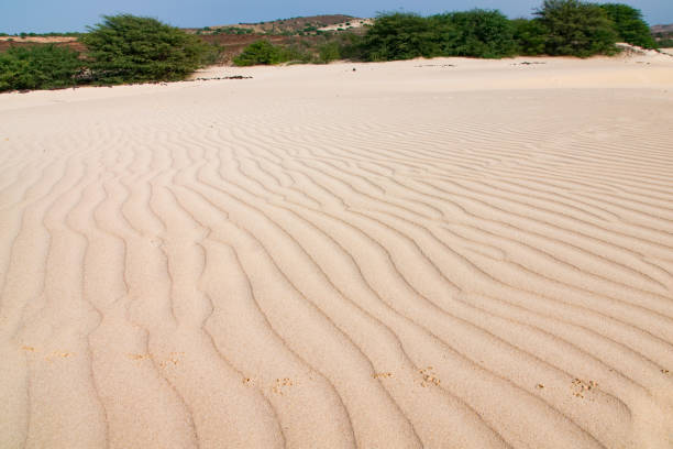 pustynia viana, boa vista, republika zielonego przylądka - sub saharan africa zdjęcia i obrazy z banku zdjęć