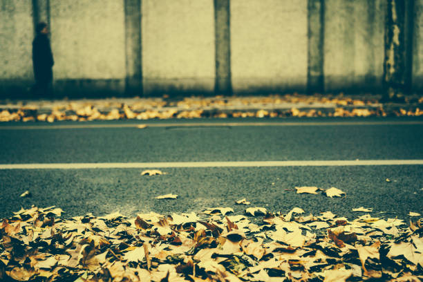 The asphalt road in autumn is full of leaves