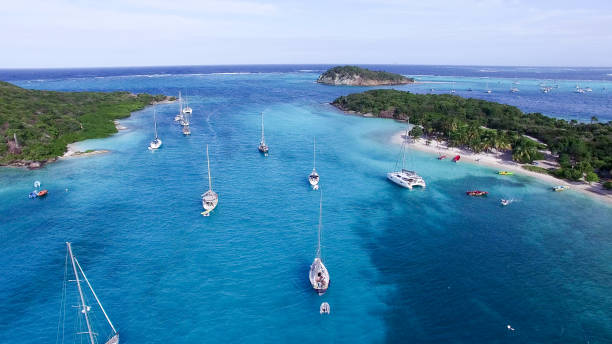 istock Tobago Cays in Saint-Vincent and the Grenadines sky view 889757790
