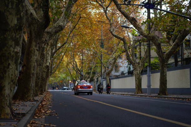 istock The asphalt road in autumn 889763334