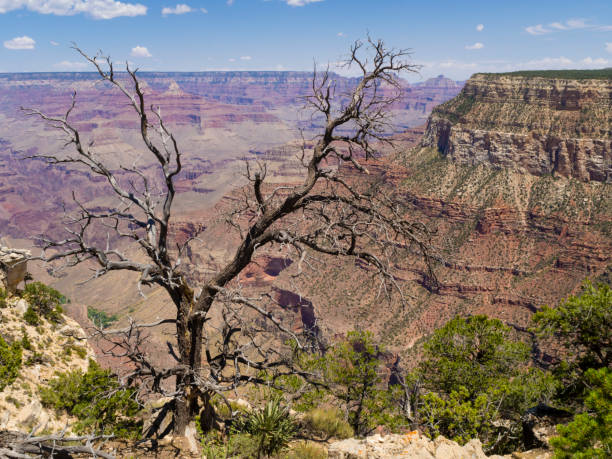 istock Grand Canyon, USA 889766454