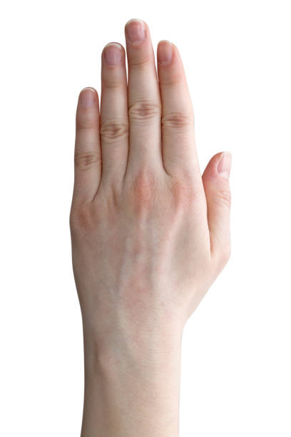 Close up Of Female Hand Isolated On Blue Background