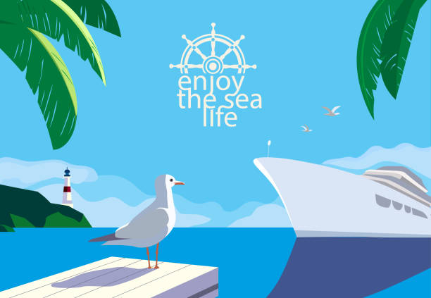 Enjoy the sea life Nautical blue sea scenic view. Cruising ship tour vacation concept. Ocean cruise liner sailing colorful cartoon. Seagull on blue calm sea coast. Vector tourist trips relax advertisement background cruise ship stock illustrations