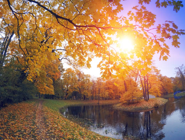 istock Autumn tree with bright foliage is reflected in the lake 889774084