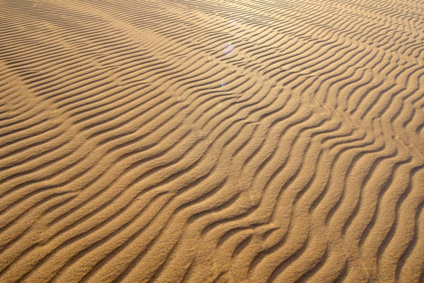 istock Corralejo sand dunes - Fuerteventura 889774170