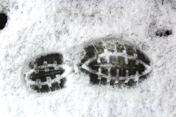 istock Footprint in Snow 889774284