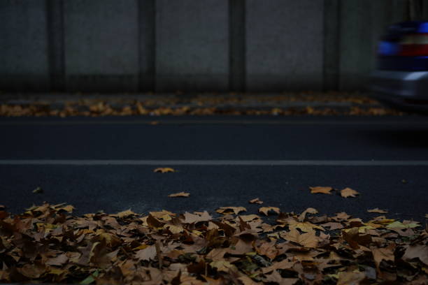 The asphalt road in autumn is full of leaves