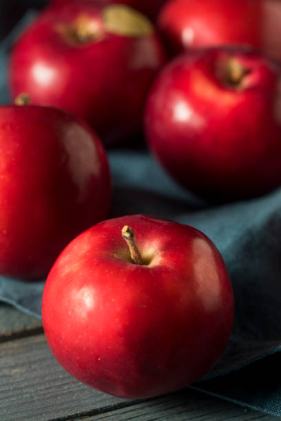 czerwone organiczne jabłka macintosh - macintosh apple zdjęcia i obrazy z banku zdjęć