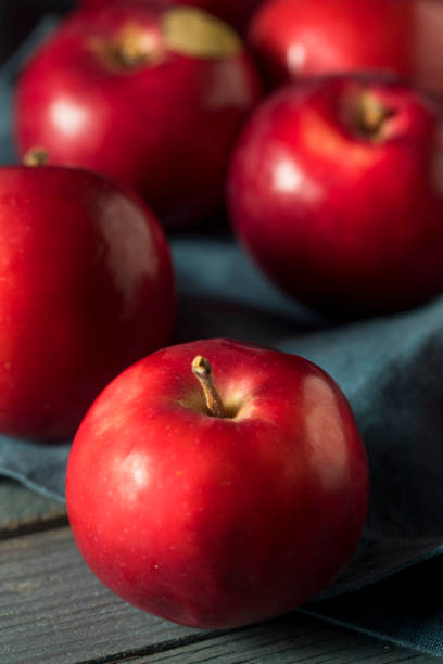 red organic macintosh apples - macintosh apple imagens e fotografias de stock