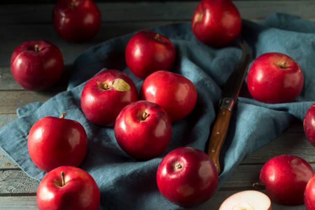 red organic macintosh apples - macintosh apple imagens e fotografias de stock