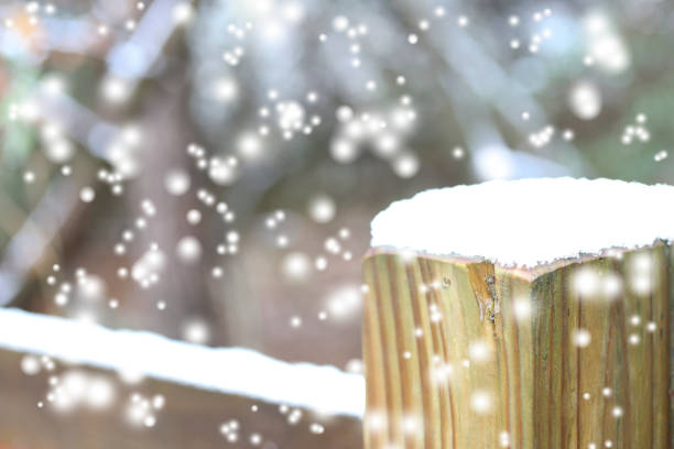 White winter snow softly falling alongside a country road in an outdoor landscape.  A fence and post has been covered in white.