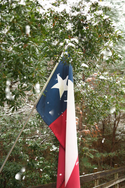 istock Winter snow falling on outdoors landscape with Texas flag. 889791258