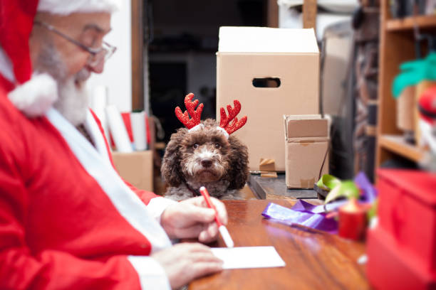 아버지 크리스마스 귀여운 강아지와 함께 바쁜 그의 책상에는 편지를 쓰고 - santa claus christmas watch workshop 뉴스 사진 이미지