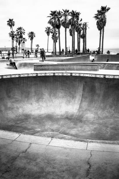 venice beach, califórnia - palm tree california city of los angeles venice beach - fotografias e filmes do acervo