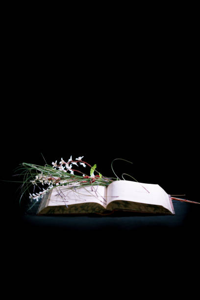 Old book with open page spread. Artificial flowers laid across. Studio shot on a black background.
