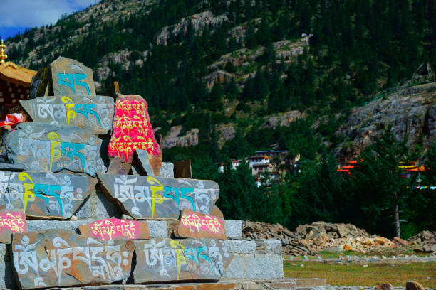 Shanti Stupa with mountain background