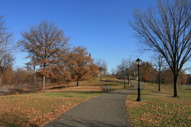 istock December 2017 at the Central Park New York 889873036