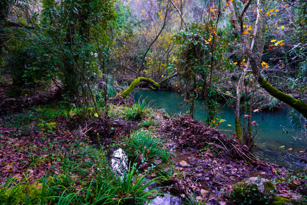 kursunlu cachoeira - waterfall antalya turkey forest - fotografias e filmes do acervo