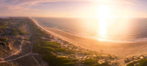 istock Aerial view of beach at sunset 889882682
