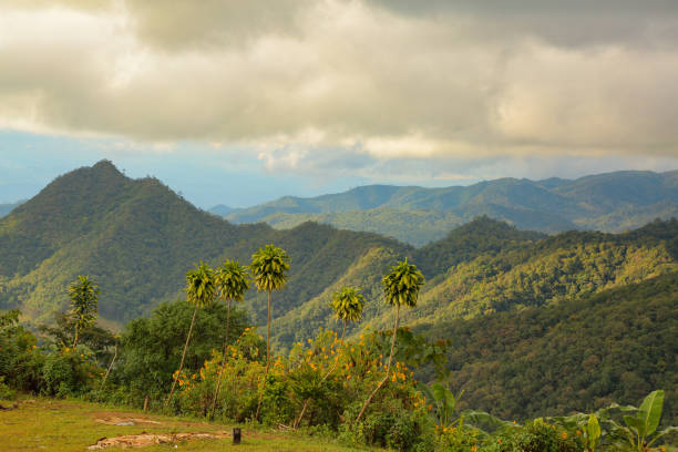 istock the view from atop a jungle mountain 889889608
