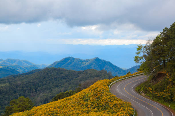 istock A road thorugh the wildflowers 889891310